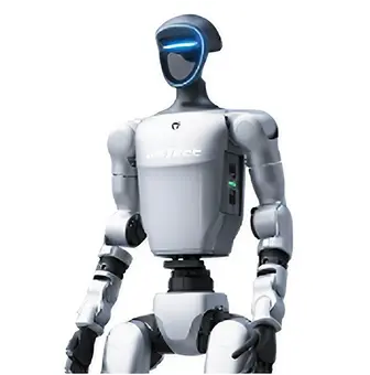 Humanoid Robot